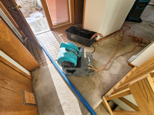 Best Fire Damage Restoration  in Newark, DE