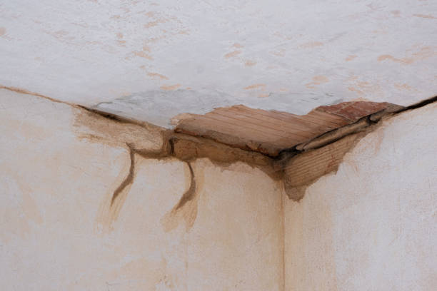Best 24/7 water damage repair  in Newark, DE