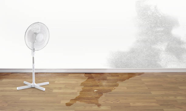 Best Basement water damage restoration  in Newark, DE