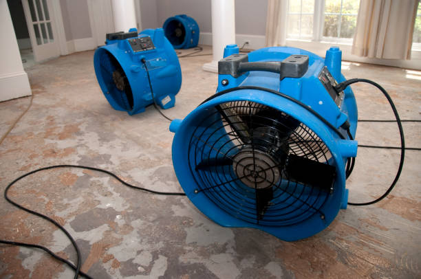 Best Water damage restoration near me  in Newark, DE