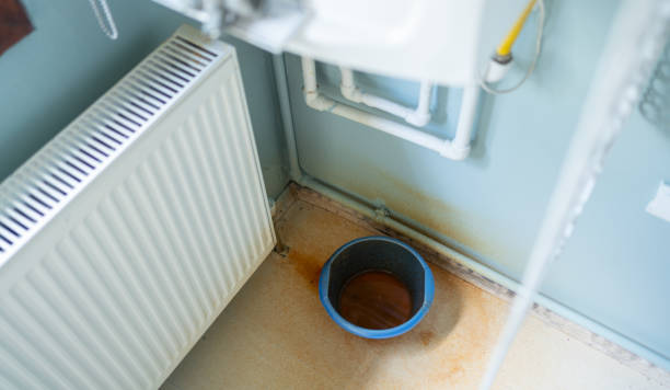 Best Mold removal after water damage  in Newark, DE