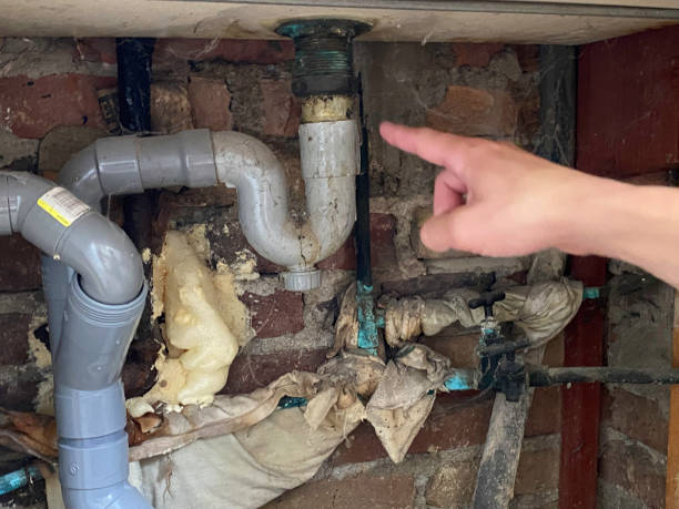 Best Emergency water extraction  in Newark, DE