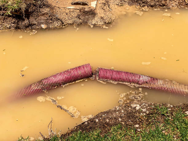 Trusted Newark, DE Water damage restoration Experts