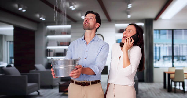 Best Carpet water damage restoration  in Newark, DE