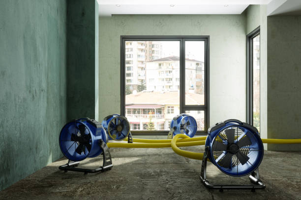 Best Water damage restoration near me  in Newark, DE