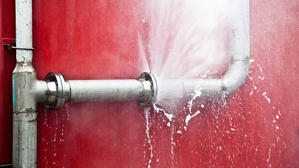 Best Water damage cleanup near me  in Newark, DE